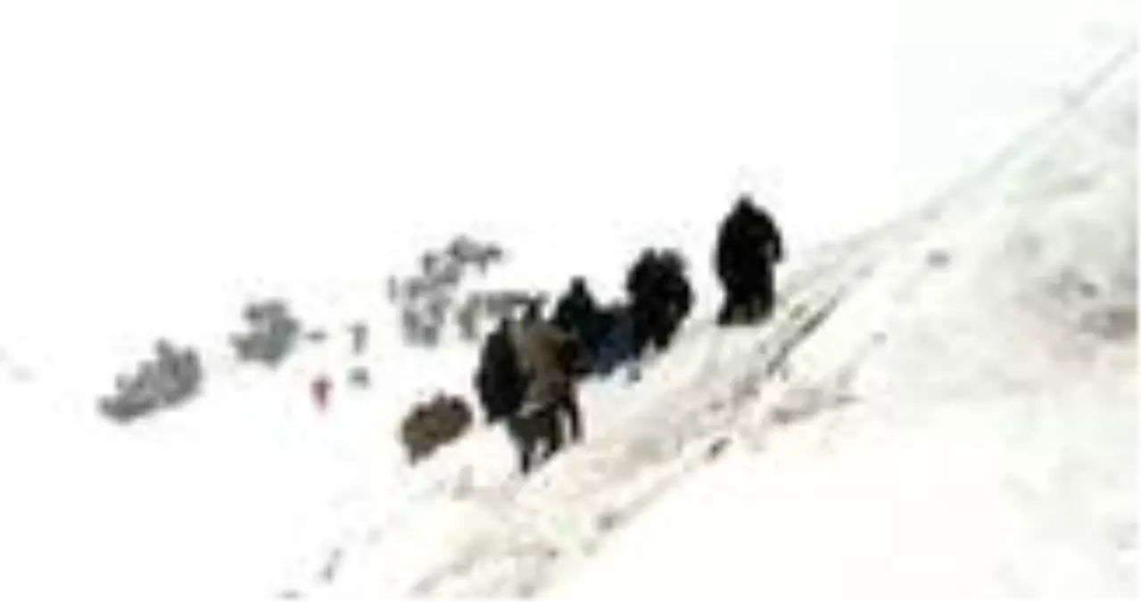 Çığ nedir? Nasıl oluşur? Çığ anında neler yapılmalı? İşte tüm detaylar