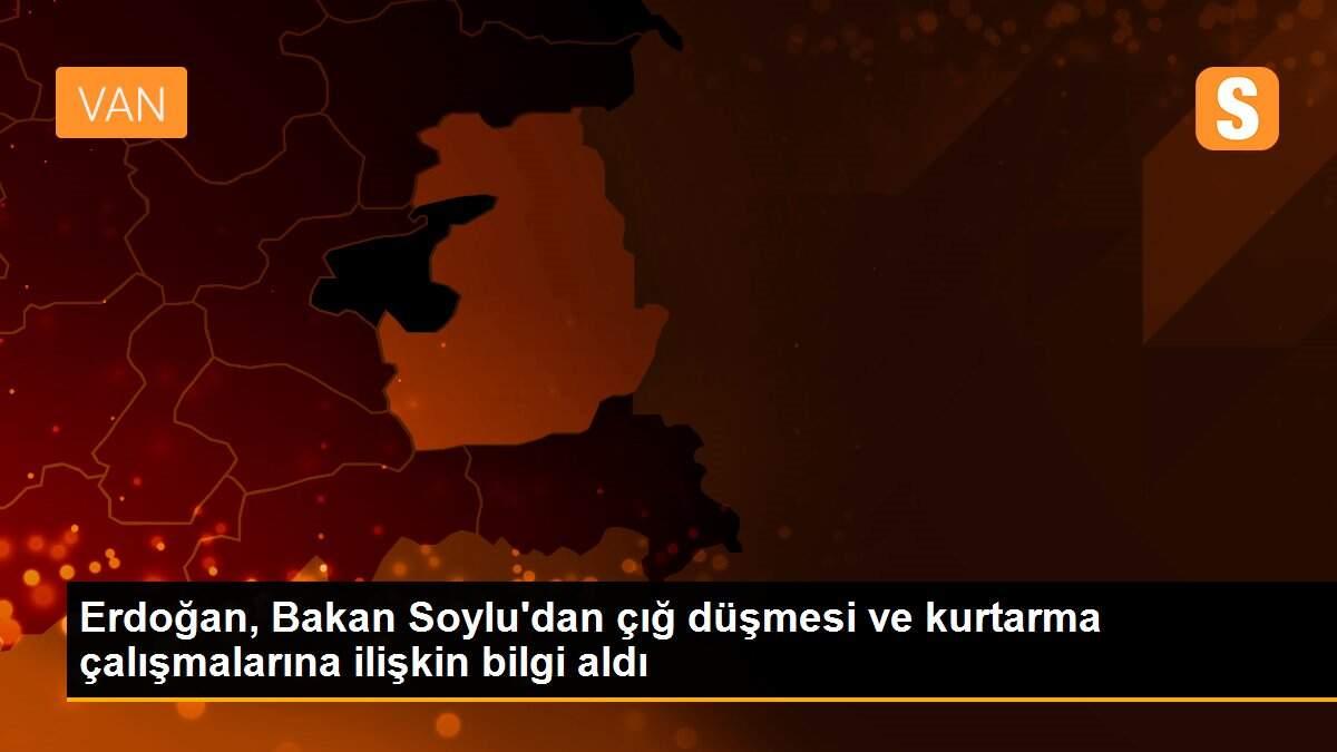 Erdoğan, Bakan Soylu\'dan çığ düşmesi ve kurtarma çalışmalarına ilişkin bilgi aldı