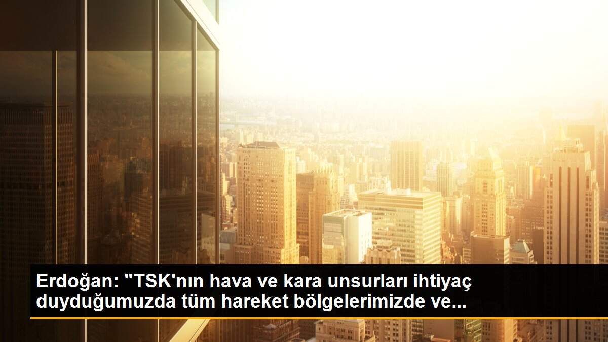 Erdoğan: "TSK\'nın hava ve kara unsurları ihtiyaç duyduğumuzda tüm hareket bölgelerimizde ve...