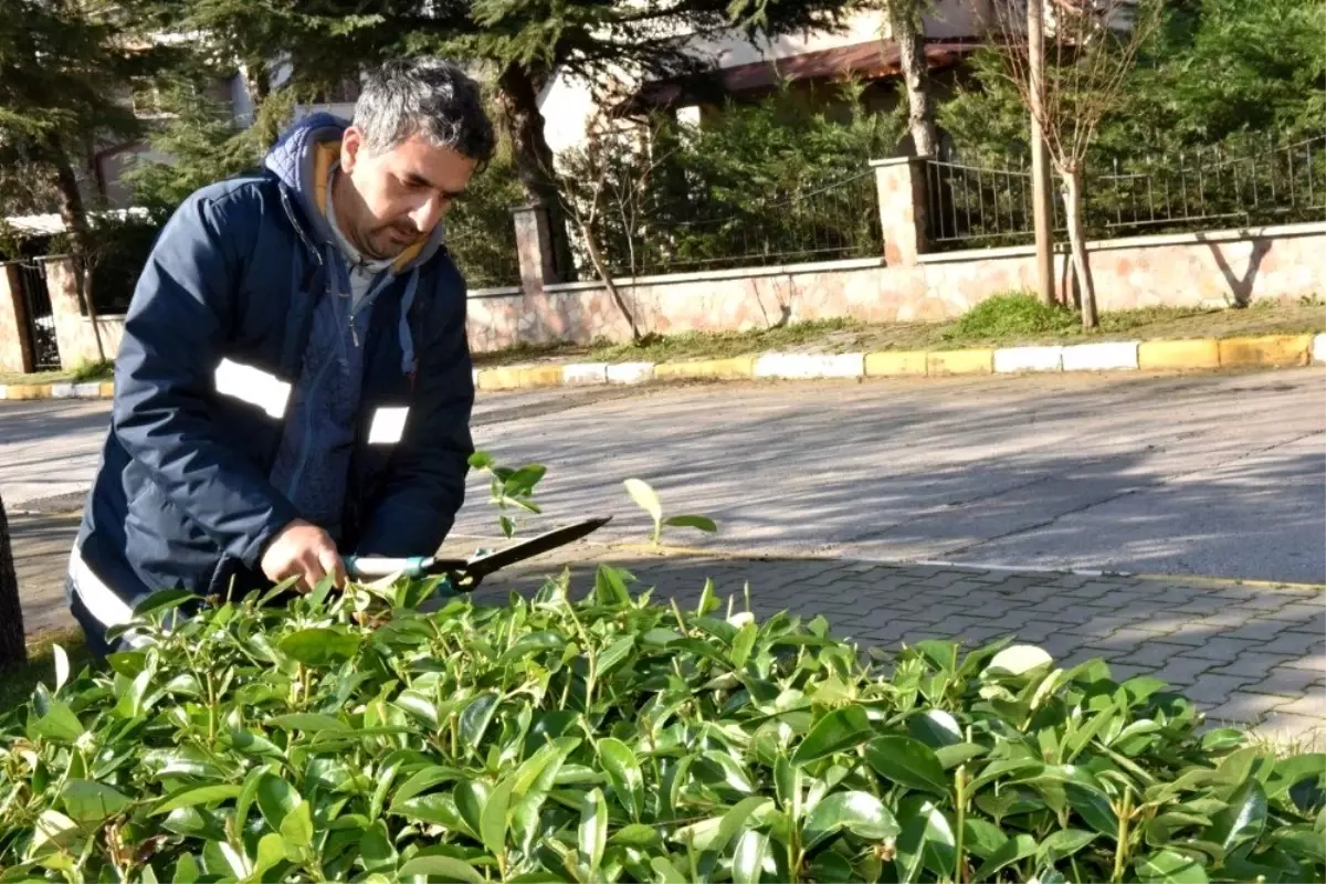 Karesi küçük dokunuşlarla güzelleşiyor