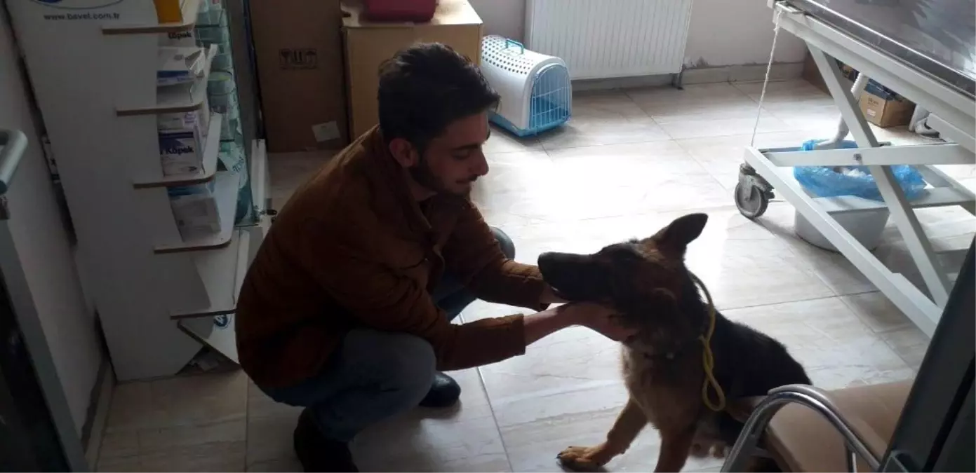 Köpeği sopayla döven yabancı uyruklu şahsa 947 TL ceza verildi