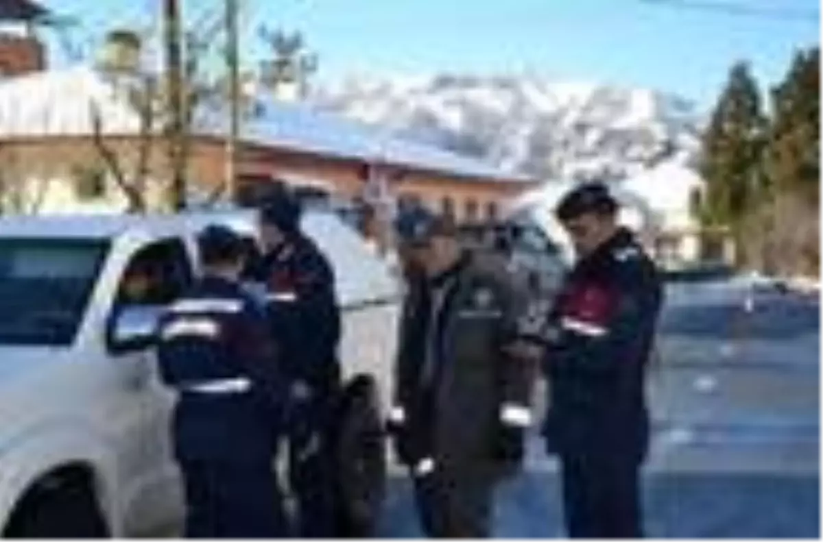 Rize\'de yaban hayvanları için doğaya yem bırakıldı