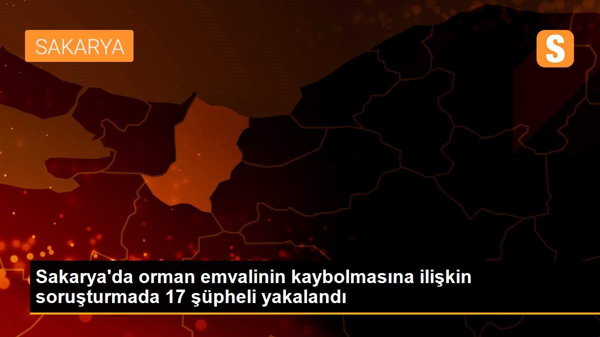 Sakarya\'da orman emvalinin kaybolmasına ilişkin soruşturmada 17 şüpheli yakalandı