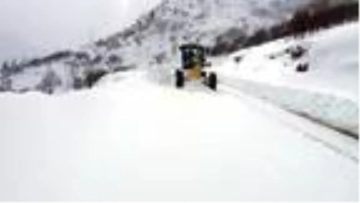 Bingöl\'de kardan kapanan 179 köyü yolu ulaşıma açıldı