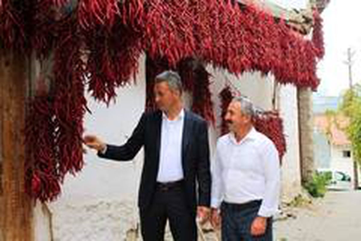 Çukurören biberi artık bir marka