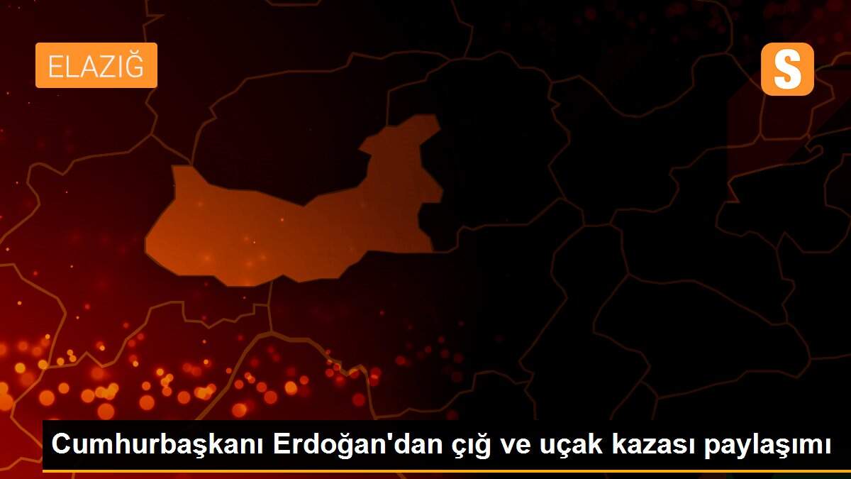Cumhurbaşkanı Erdoğan\'dan çığ ve uçak kazası paylaşımı