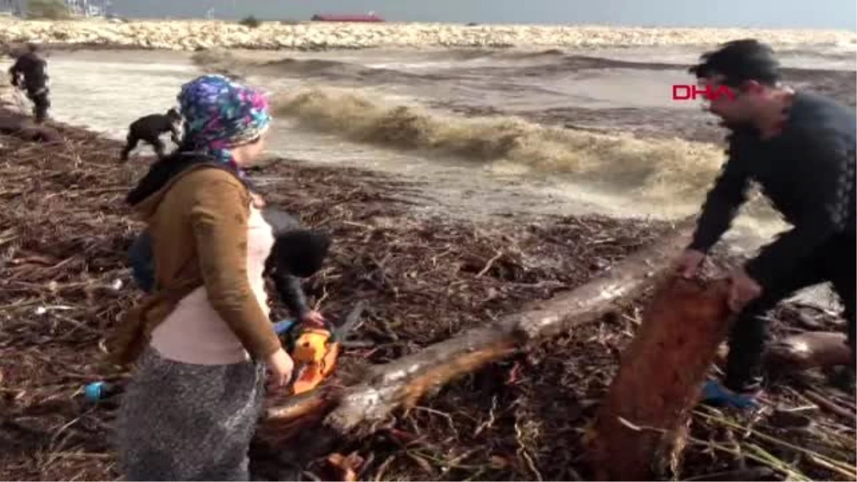 Mersin selde sürüklenen kütükleri yakmak için topladılar