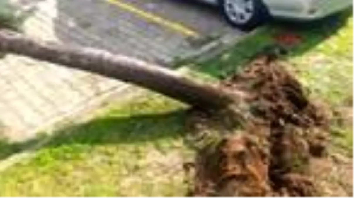 Ordu\'da fırtına çatıları uçurdu; ilçelerde okullar tatil edildi