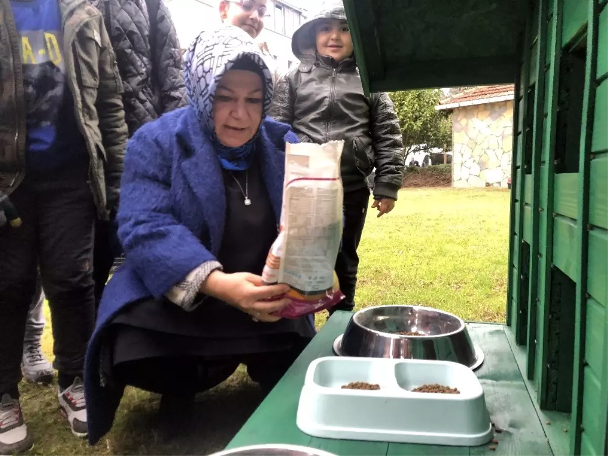 Sancaktepe\'de soğuk havadan korunmaları için kedilere ev