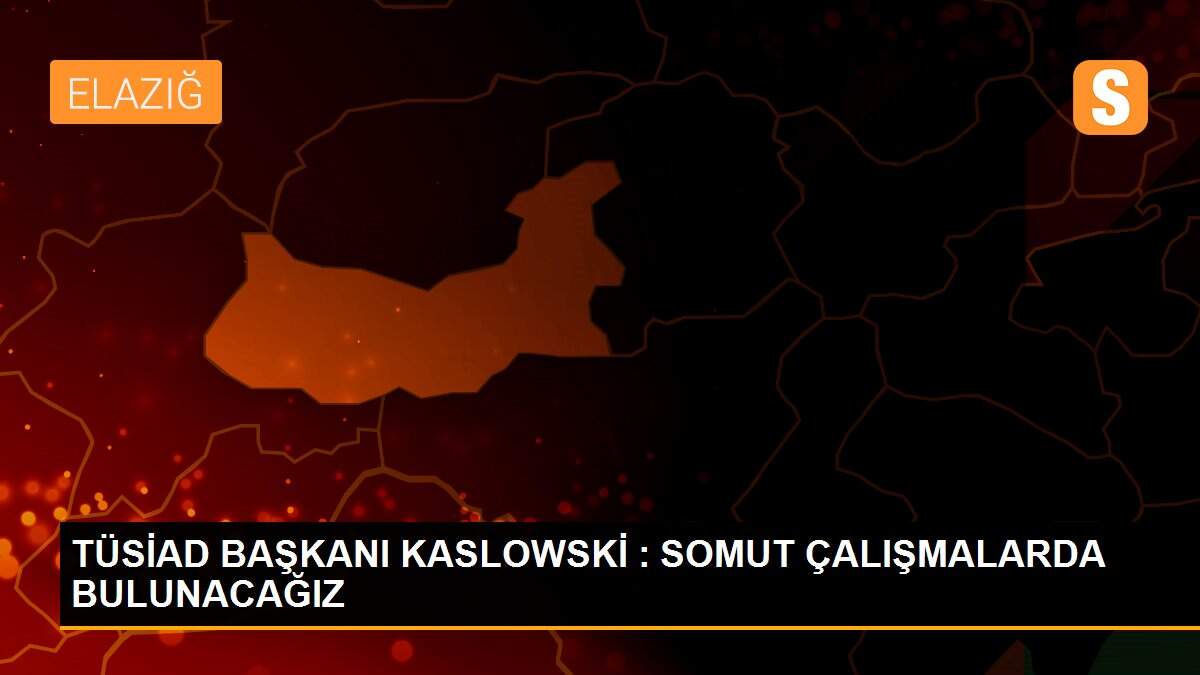 TÜSİAD BAŞKANI KASLOWSKİ : SOMUT ÇALIŞMALARDA BULUNACAĞIZ
