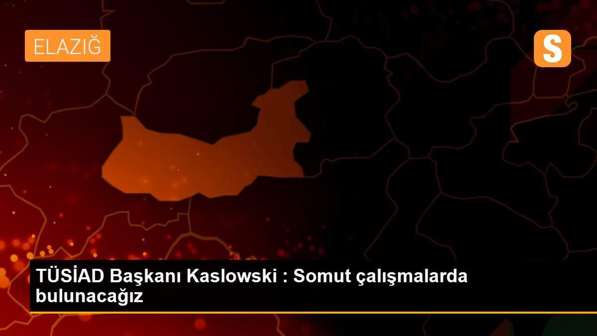 TÜSİAD Başkanı Kaslowski : Somut çalışmalarda bulunacağız