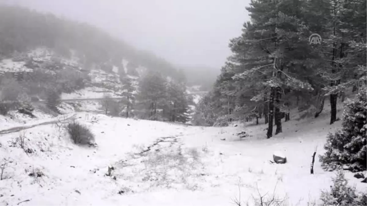 Yüksek kesimlere kar, kıyı kesimlerine yağmur yağdı