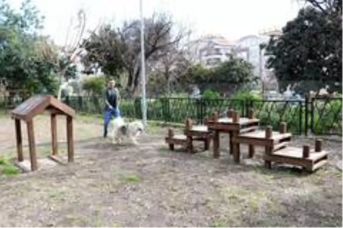 Alanya\'da ilk köpek parkı hizmete açıldı