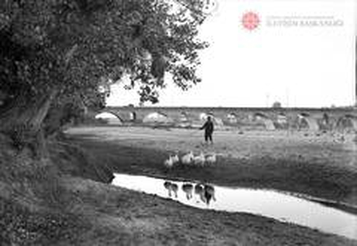 İletişim Başkanlığı fotoğraf arşivi dijital medyada