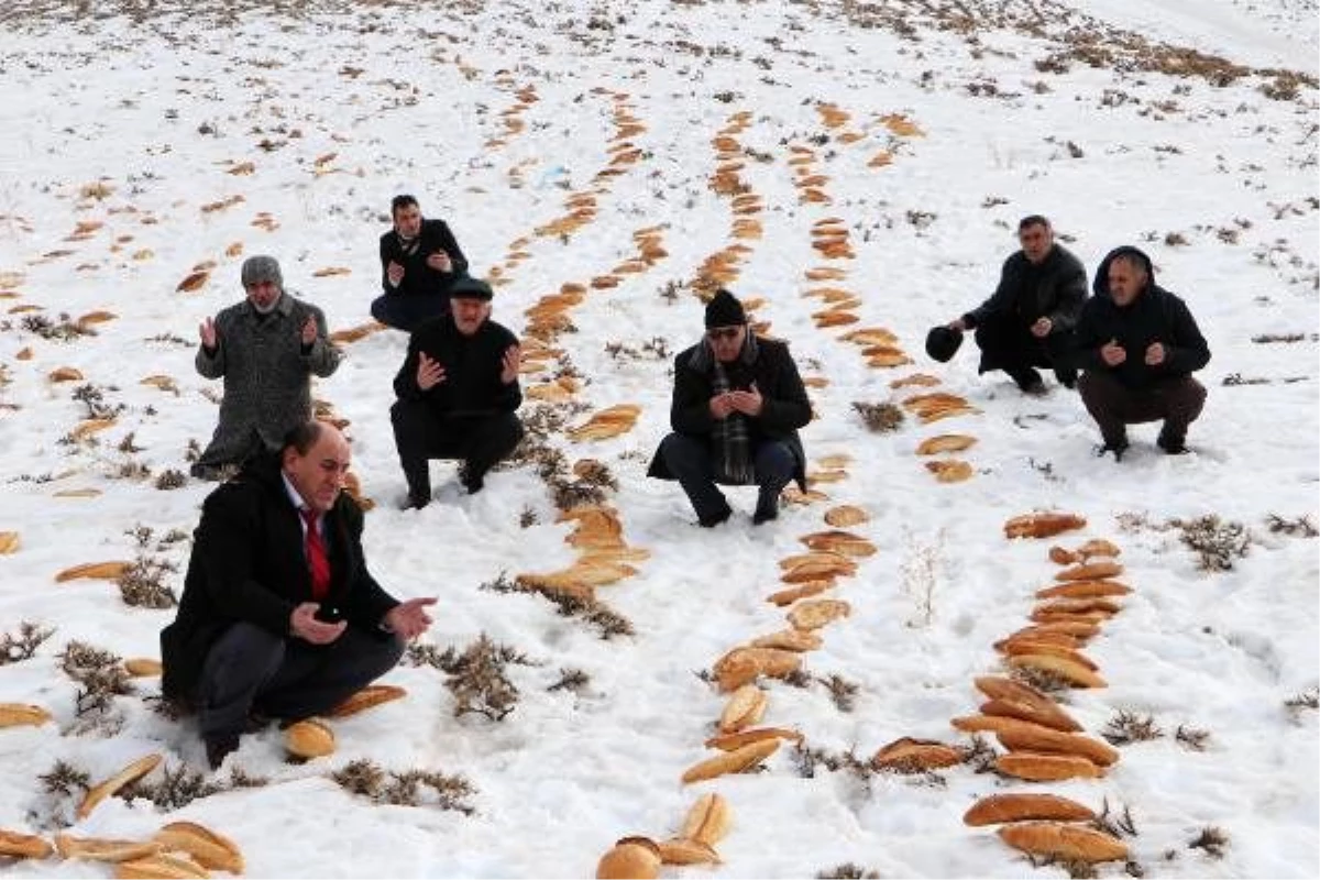 Son gelen doğal afetlerden sonra Erzurum esnafı doğaya 2001 ekmek bıraktı