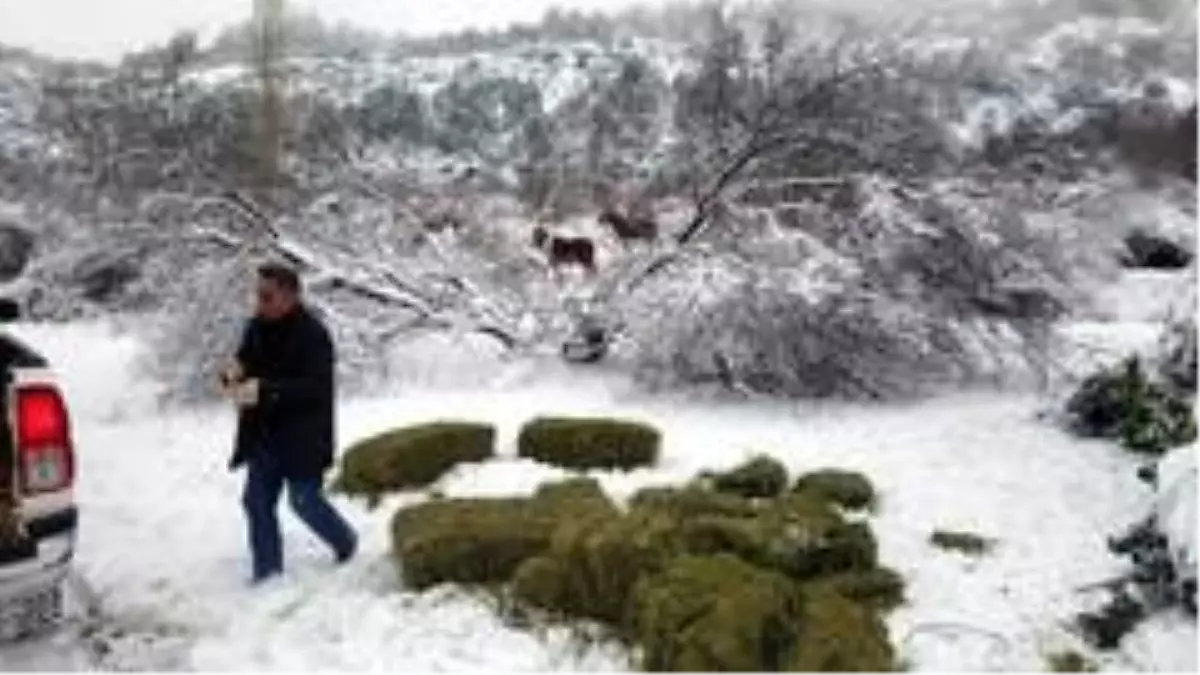 Yaban hayvanları için doğaya yem bırakıldı