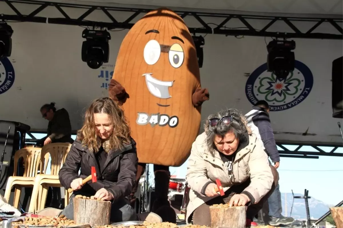 Badem festivalinde en iri yetiştirici ve en çok kıranlar ödüllendirildi