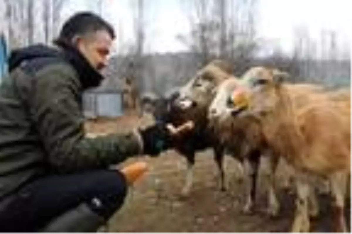 Bakan Pakdemirli, yaban hayvanları için doğaya yem bıraktı