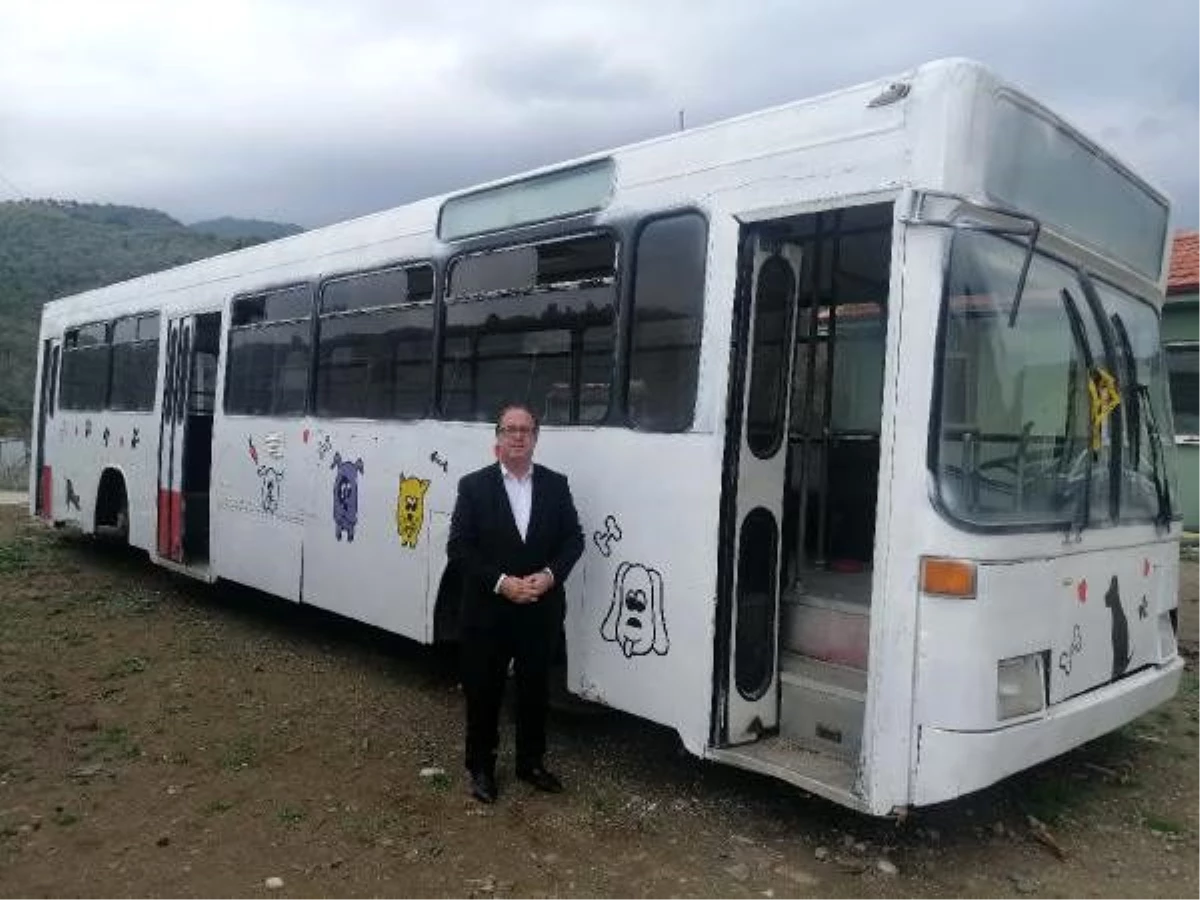 Belediye, hurda otobüsleri hayvan bakım merkezine dönüştürdü