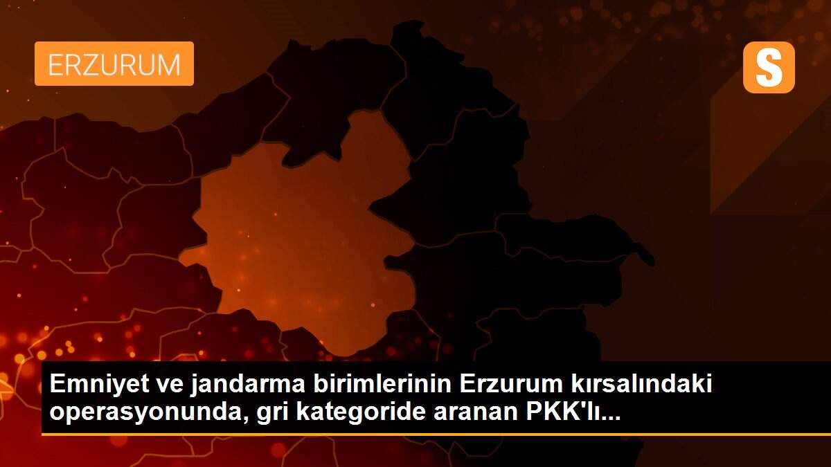 Emniyet ve jandarma birimlerinin Erzurum kırsalındaki operasyonunda, gri kategoride aranan PKK\'lı...
