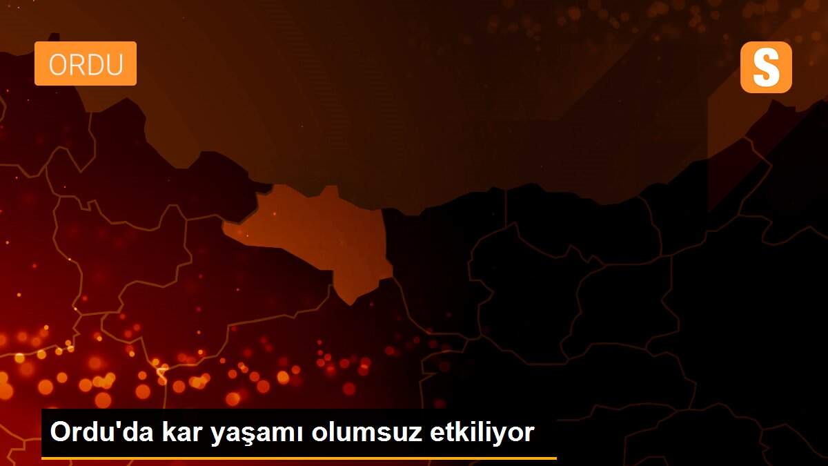 Ordu\'da kar yaşamı olumsuz etkiliyor