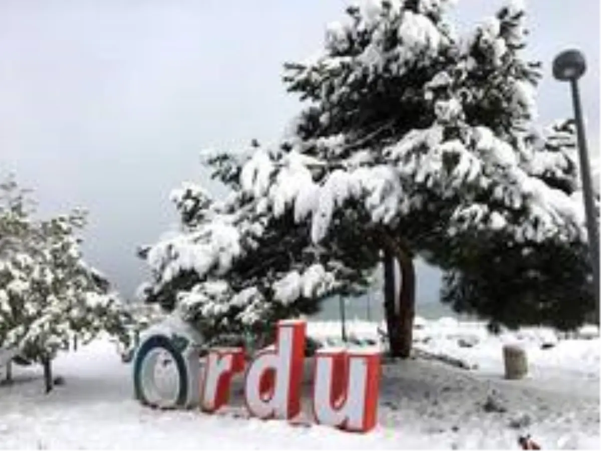 Ordu\'da yarın okullar tatil