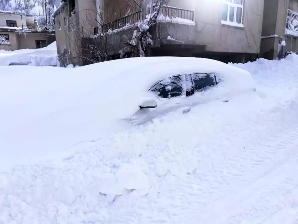 Tatvan\'da 2 günde 2 metre kar yağdı