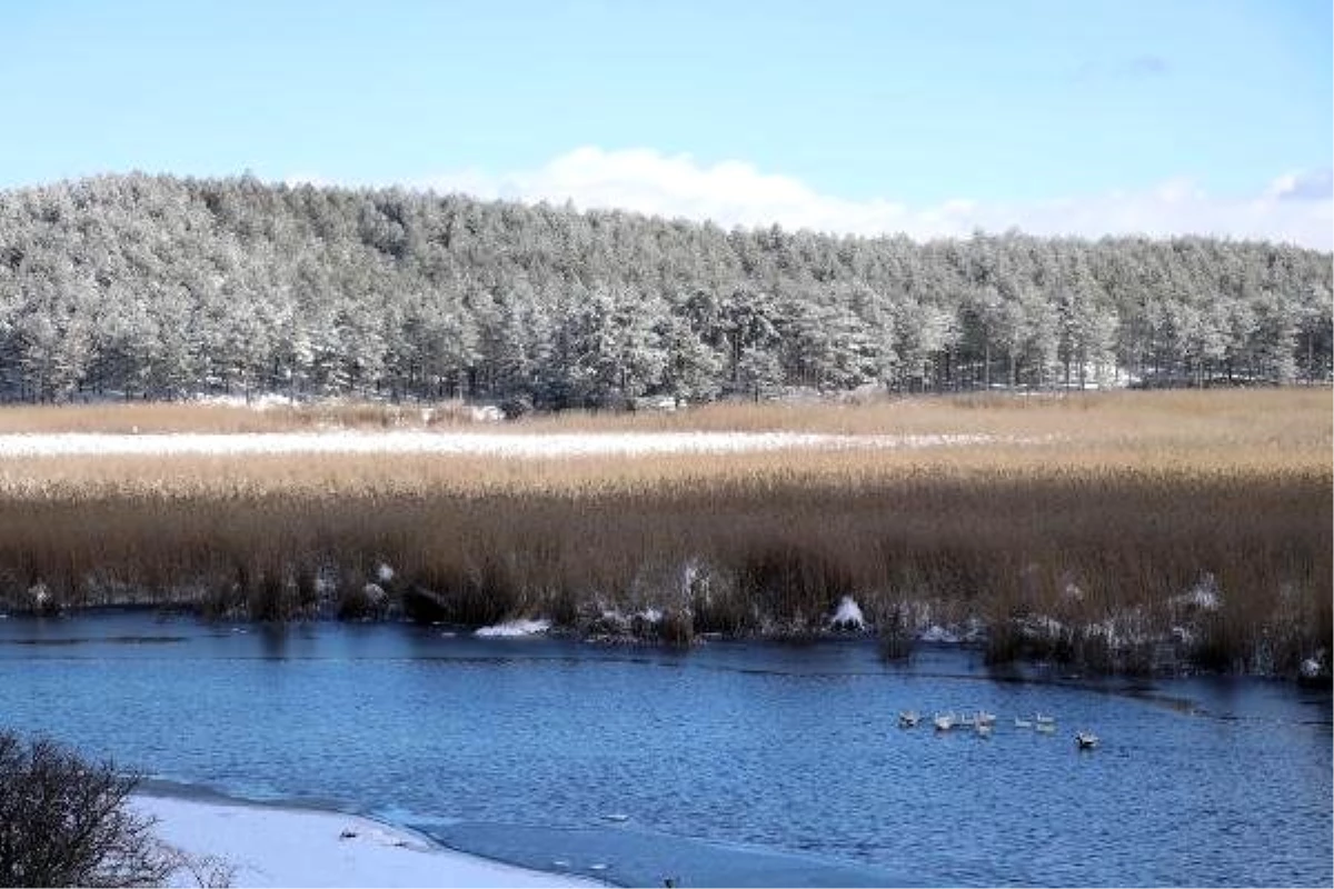 180 kuş türü bulunan Yayla Gölü, karla bir başka güzel