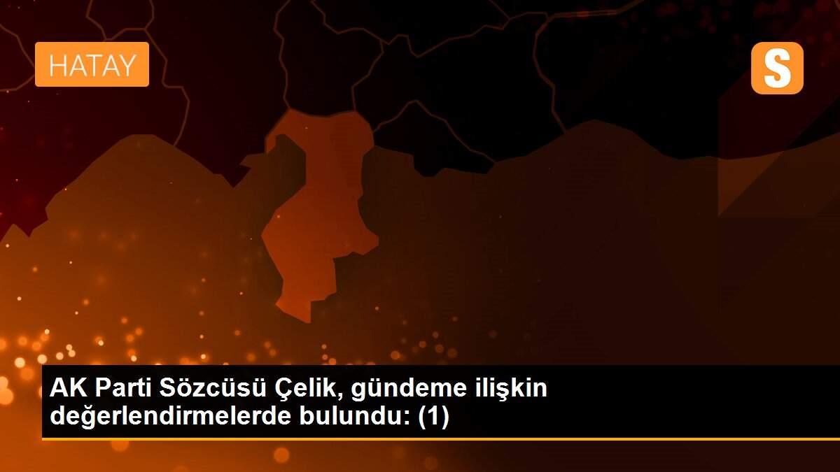 AK Parti Sözcüsü Çelik, gündeme ilişkin değerlendirmelerde bulundu: (1)