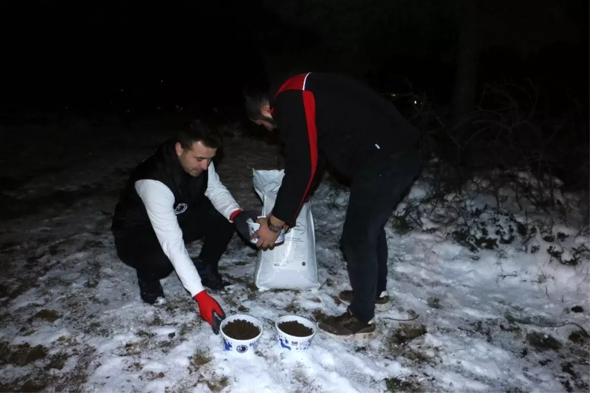 Kartal Belediyesi soğuk kış günlerinde de sokak hayvanlarının yanında