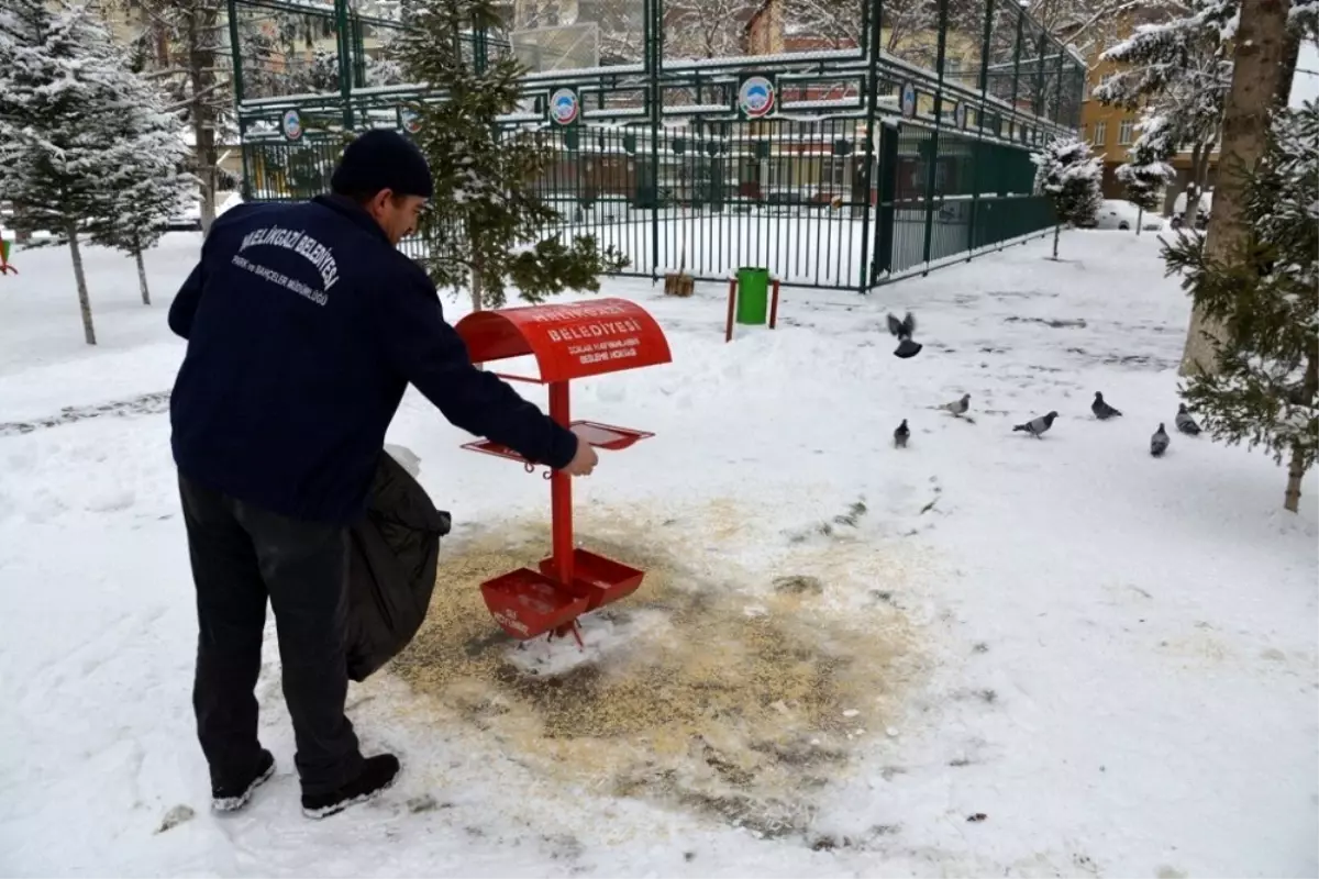 Melikgazi\'de sokak hayvanları unutulmadı