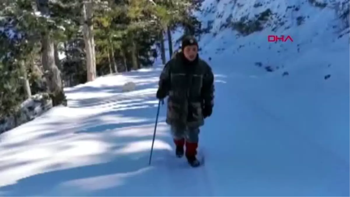 Osmaniye doğaseverlerden karla buluşma yürüyüşü