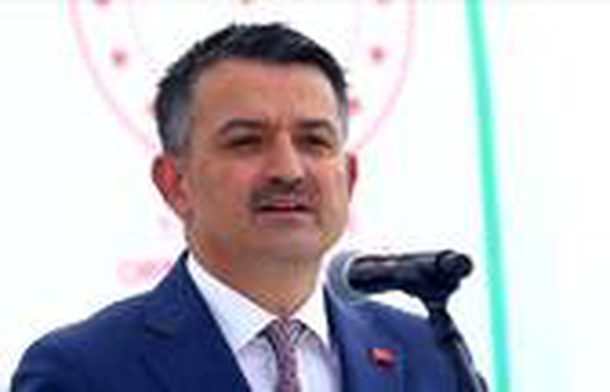 Pakdemirli: Orman köylüsüne 17 yılda 2,8 milyar liralık destek verildi