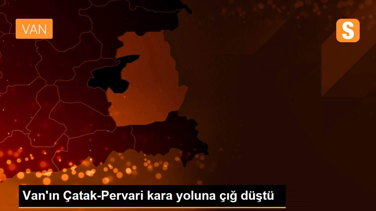 Van\'ın Çatak-Pervari kara yoluna çığ düştü