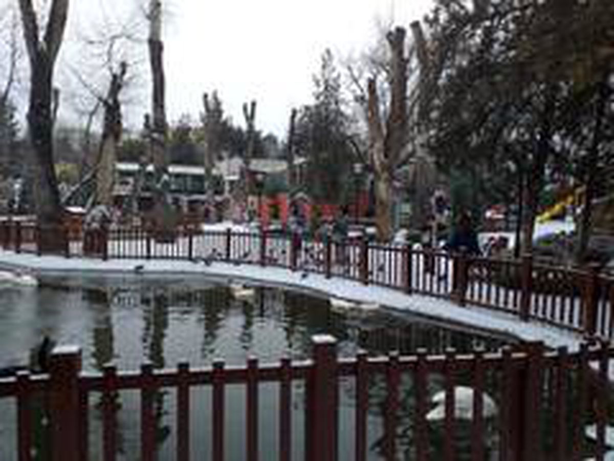 Başkent beyaza büründü
