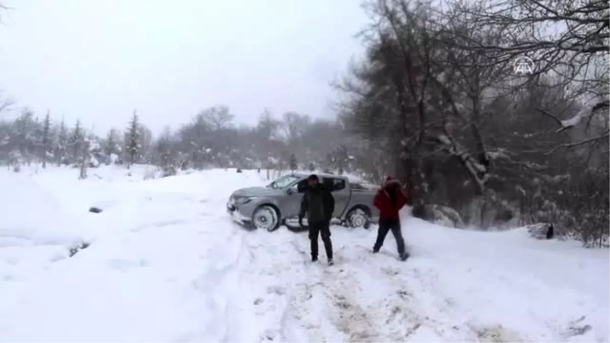 Bolu Dağı\'na yılkı atları için yem bırakıldı