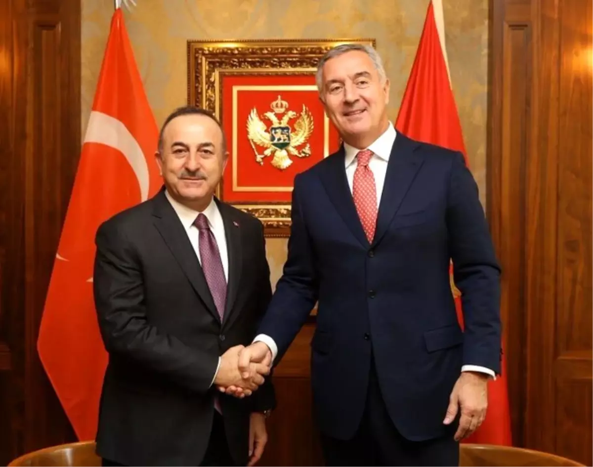 Dışişleri Bakanı Çavuşoğlu, Karadağ Cumhurbaşkanı Cukanoviç ile görüştü