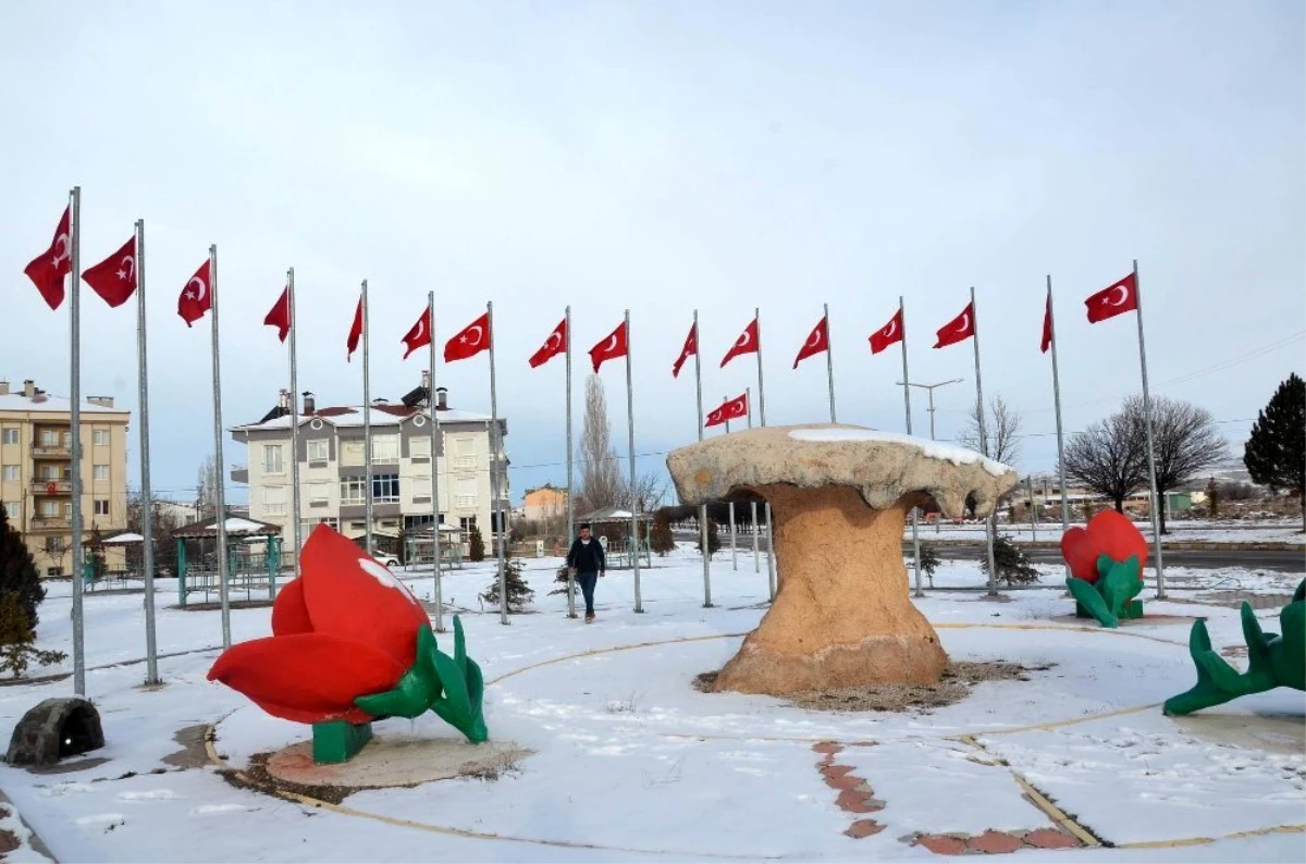 Gülşehir Belediyesi, Türk Bayraklarını yeniliyor