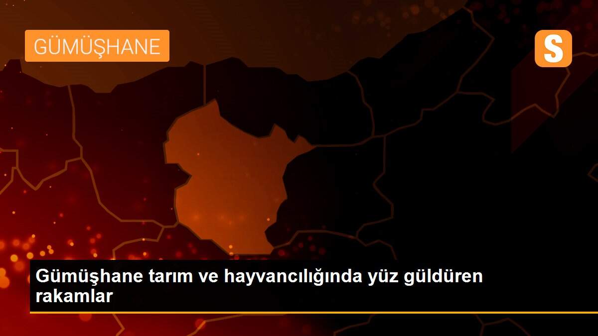 Gümüşhane tarım ve hayvancılığında yüz güldüren rakamlar