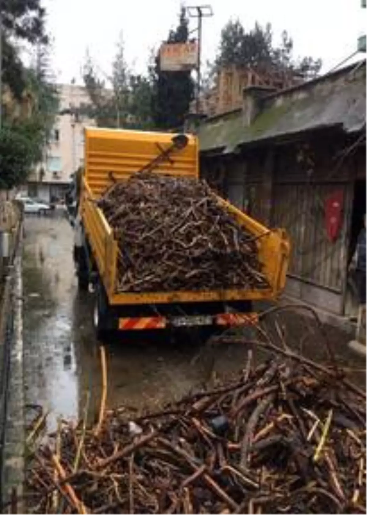 Mersin\'de selin sahile süreklediği 6 kamyon odun parçası yoksullara dağıtılacak