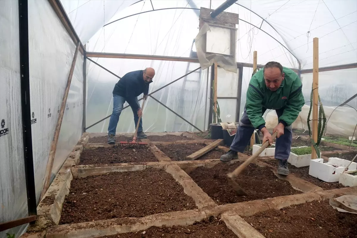 Serada yetiştirdiği ürünleri aşevine bağışlıyor