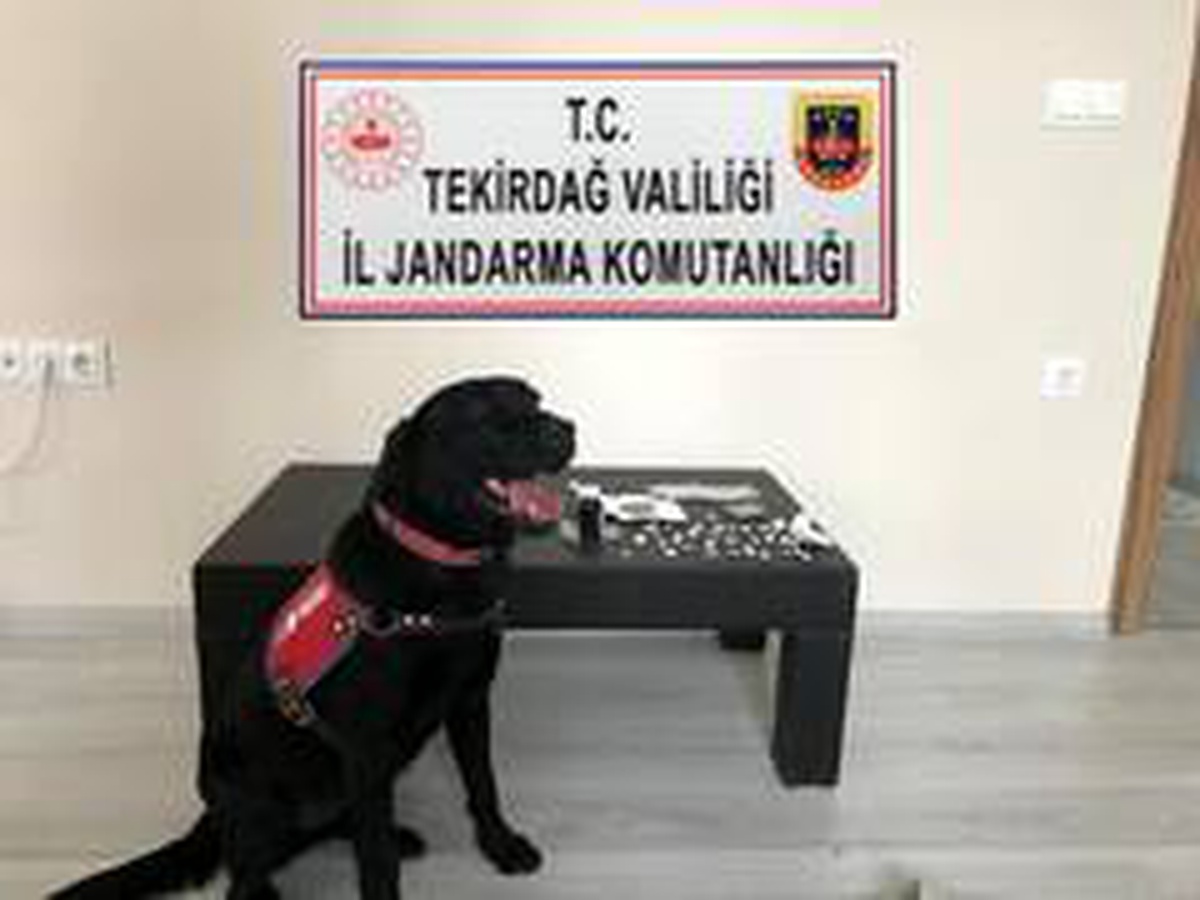 Uyuşturucu tacirleri \'Limit\'ten kaçamadı