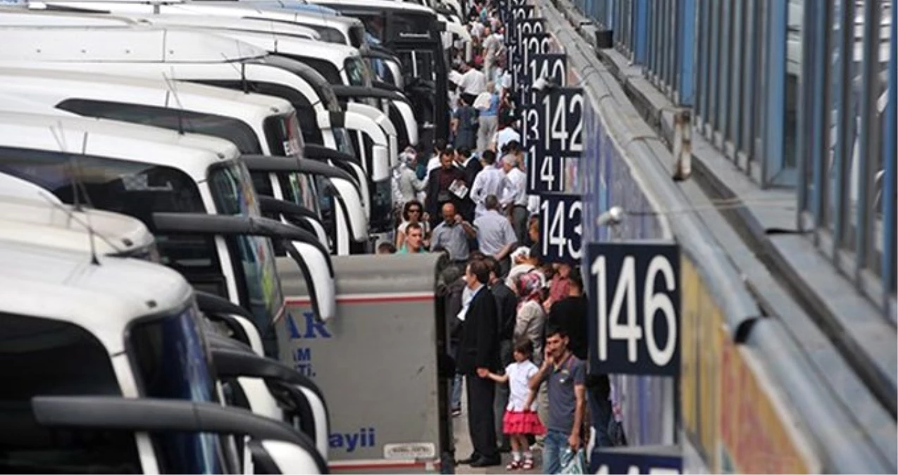 Evcil hayvan taşımacılığında otobüs firmaları yeni kurallar getiriyor