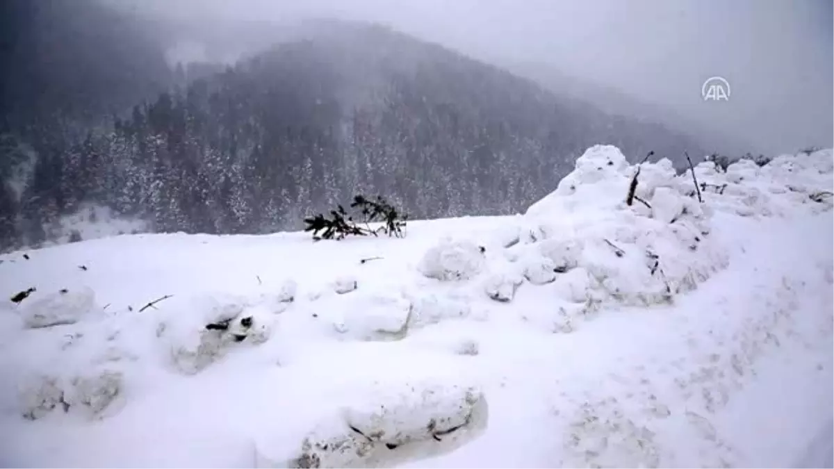 Gümüşhane-Trabzon kara yolunun Zigana Dağı geçişi yeniden ulaşıma açıldı