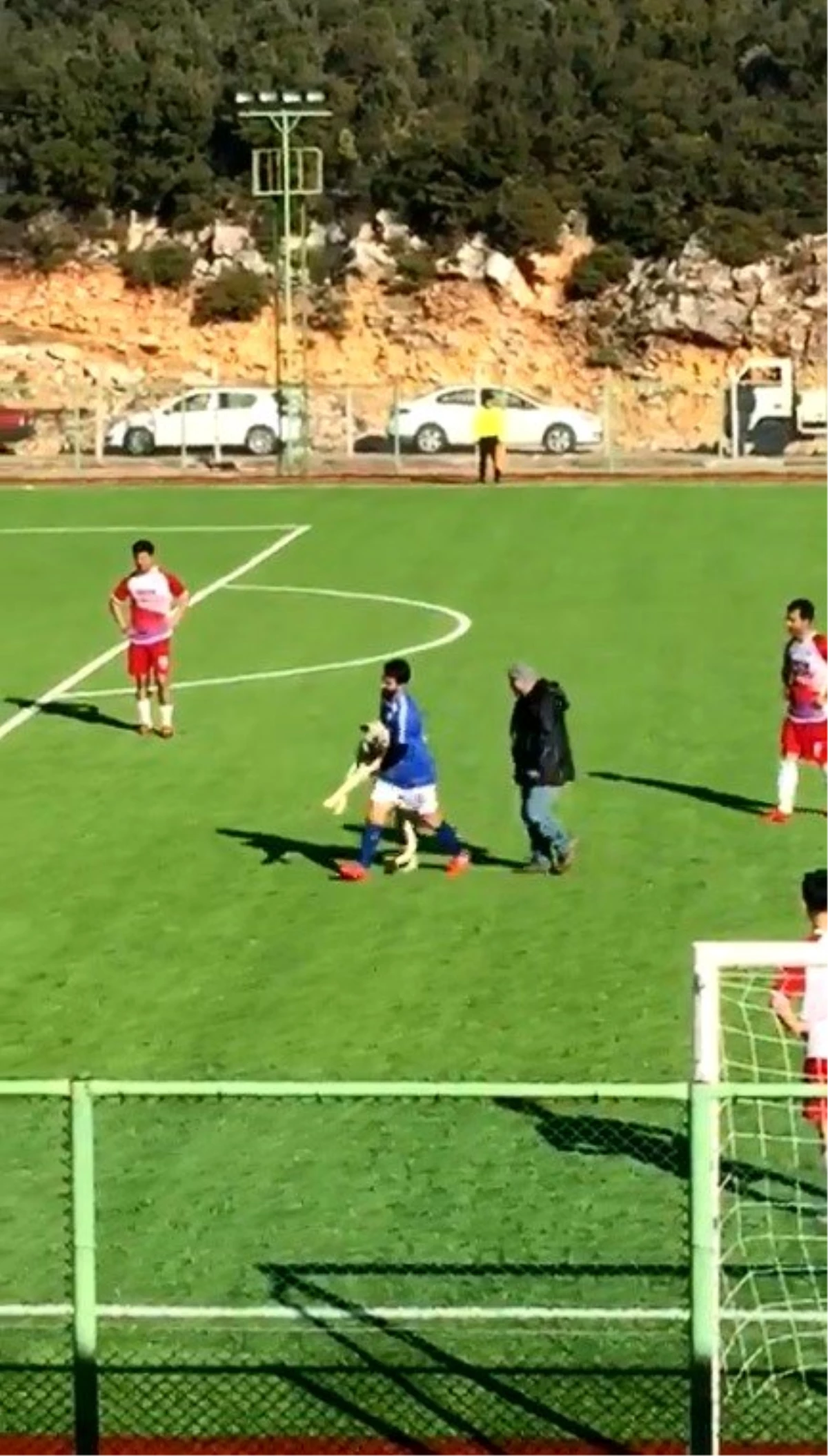Maç sırasında sahaya giren köpek çıkmak istemeyince devreye futbolcular girdi