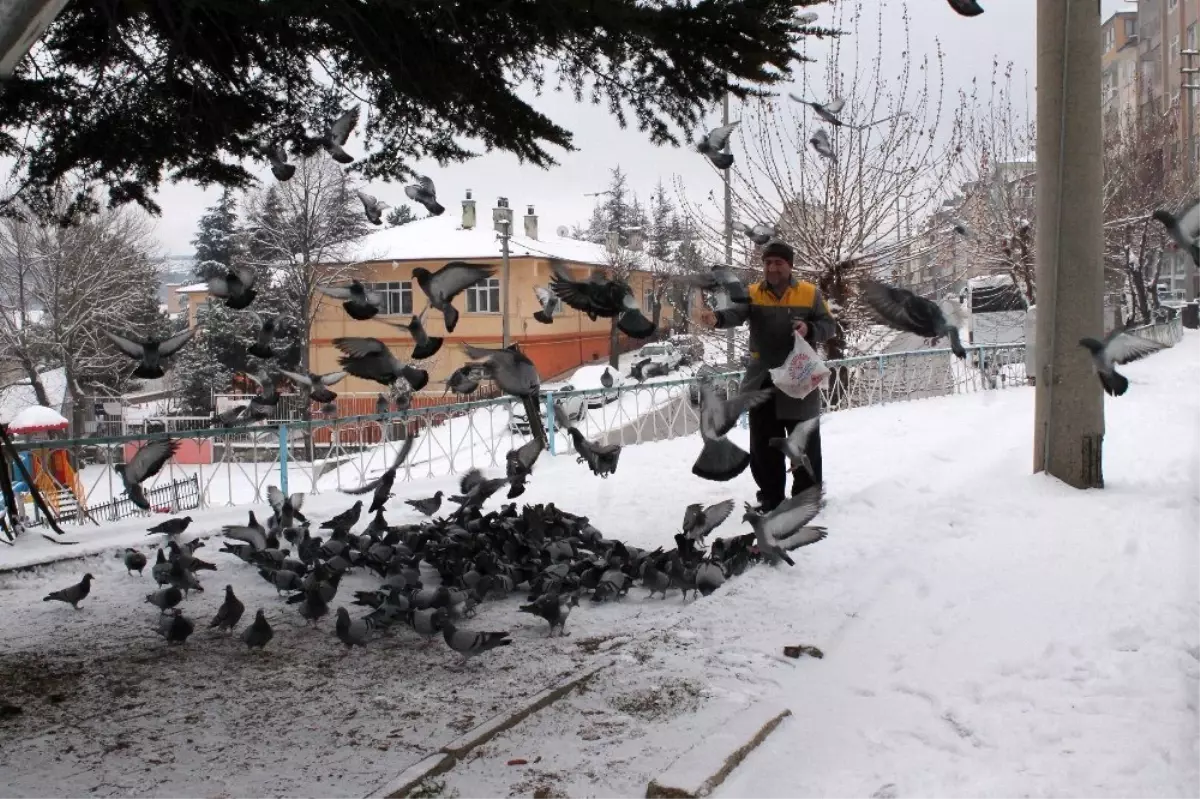 Tosyalı Esnaflar Kuşlara Yem Bıraktı