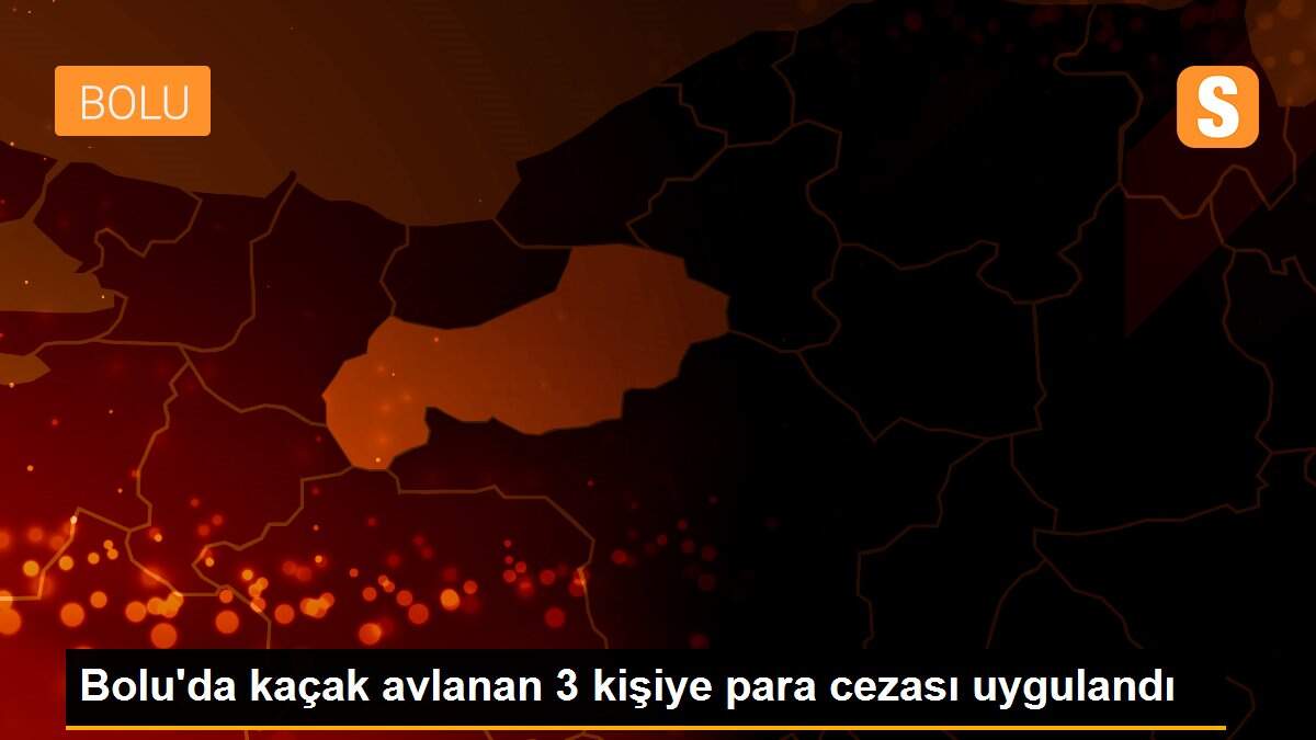 Bolu\'da kaçak avlanan 3 kişiye para cezası uygulandı