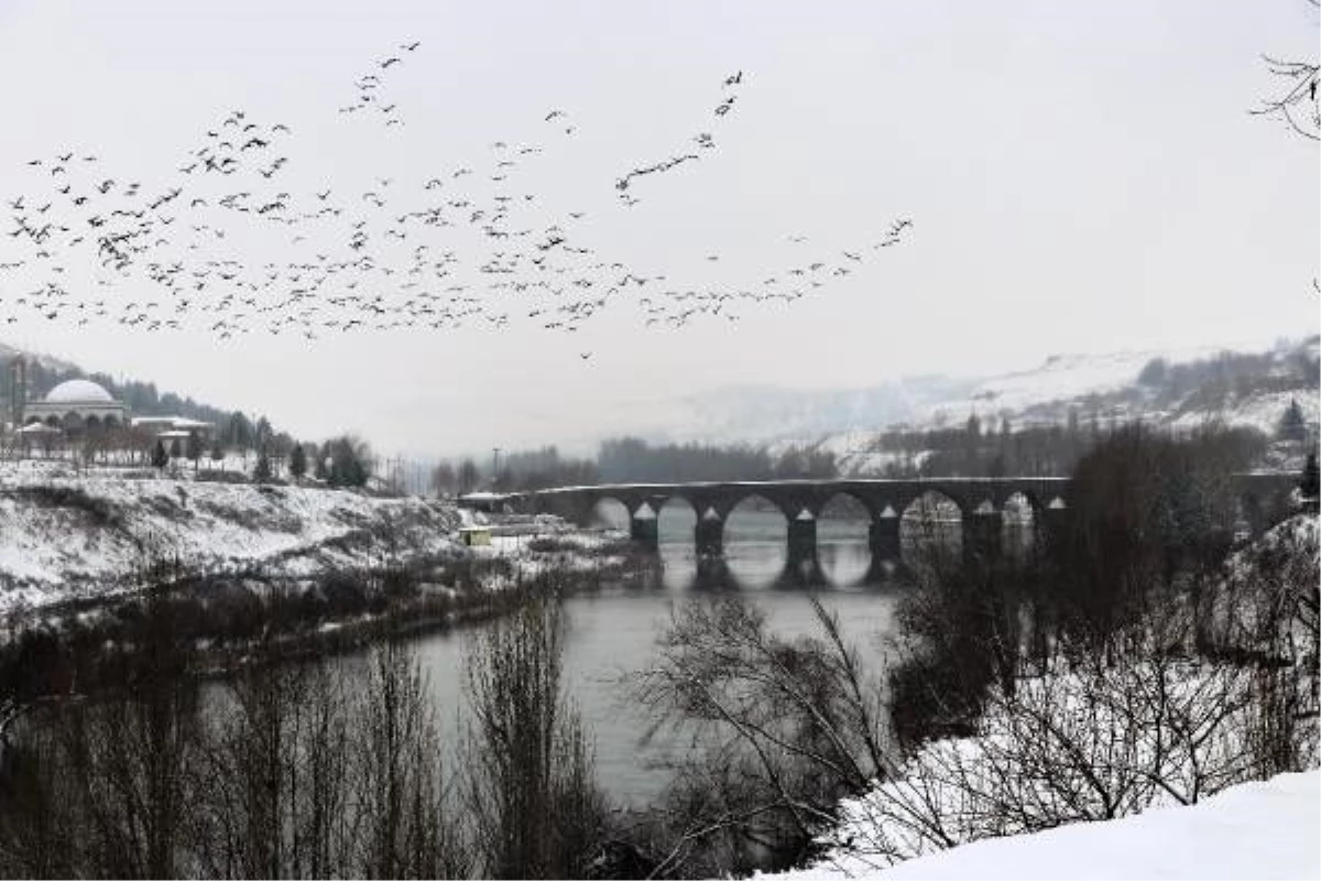 Diyarbakır Surları, Hevsel Bahçeleri ve On Gözlü Köprü, beyaza büründü
