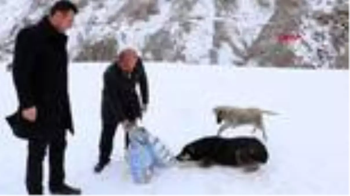 Hakkari\'de sokak hayvanları için 300 kilo mama bırakıldı