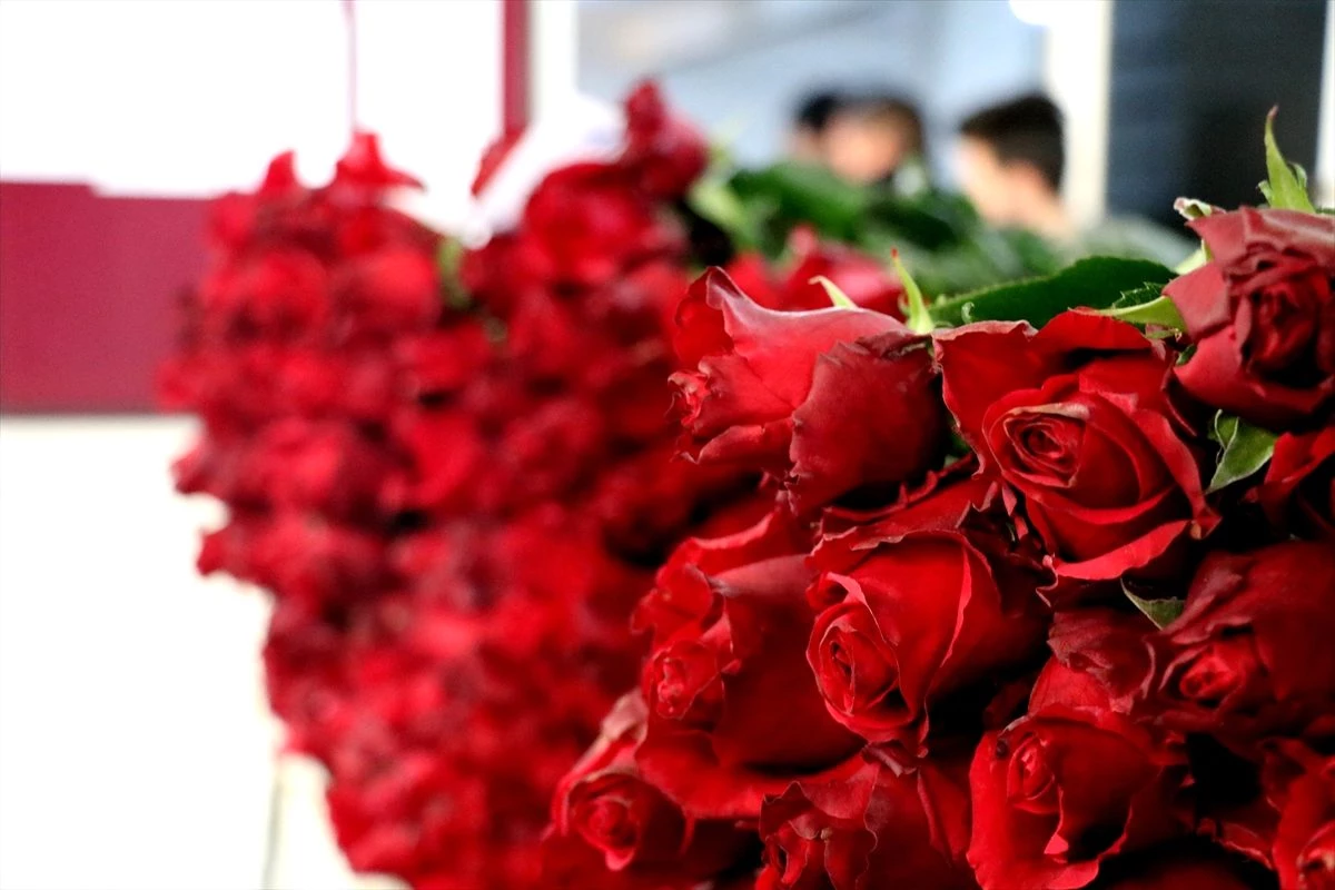 Yalova\'daki çiçek mezatlarında "Sevgililer Günü" öncesi rağbet kırmızı güle